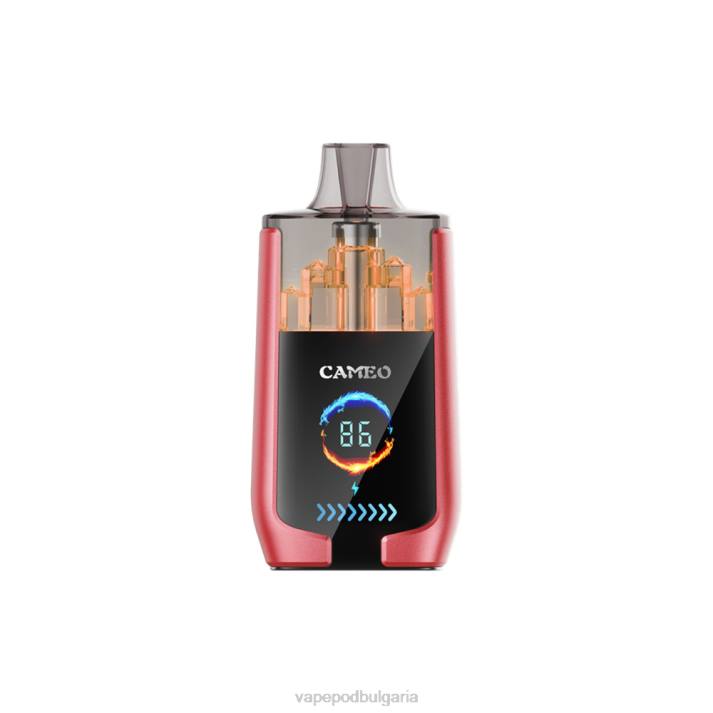 Vape Течности - лед от диня BPRD14 LAVIE CAMEO 30 000 впръсквания
