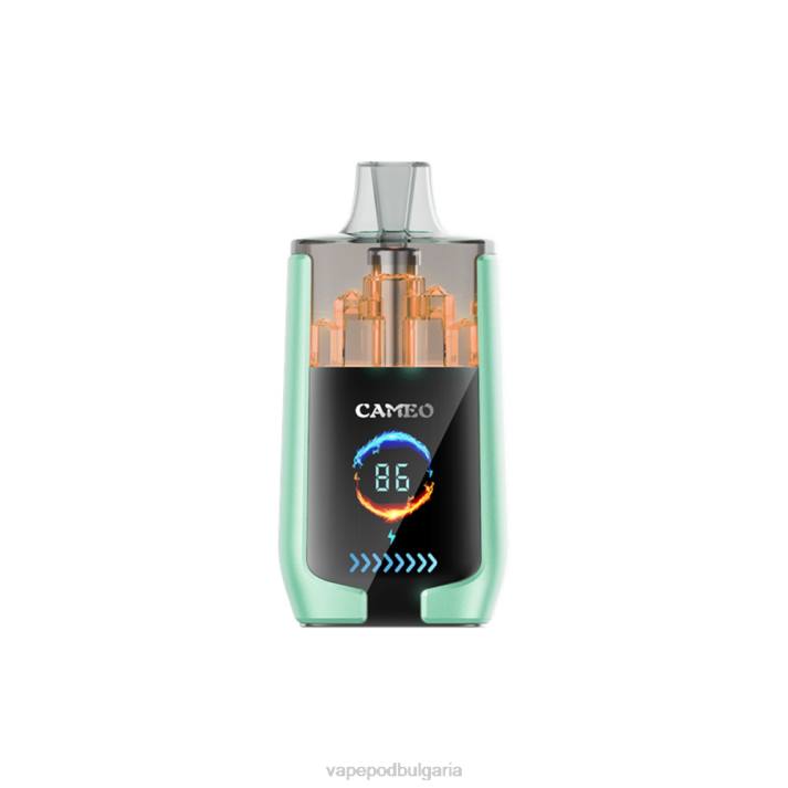 Vape Течности - двойна ябълка BPRD20 LAVIE CAMEO 30 000 впръсквания